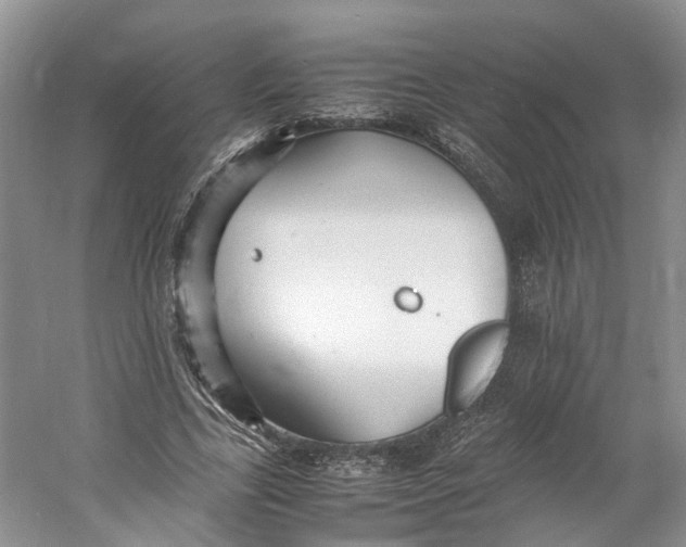 X0000060770731200512011611