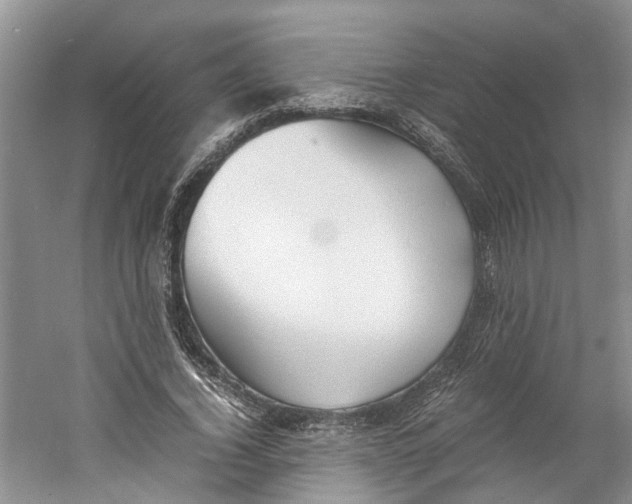 X0000060770732200512011611