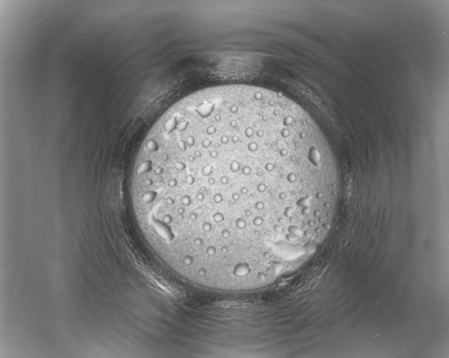 X0000060770733200512011611