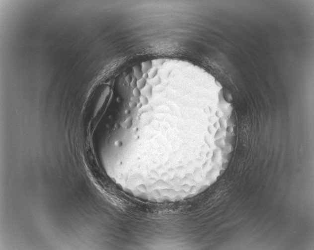 X0000060770734200512011611