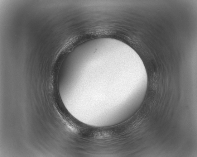 X0000060770735200512011611