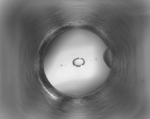 X0000060770736200512011611