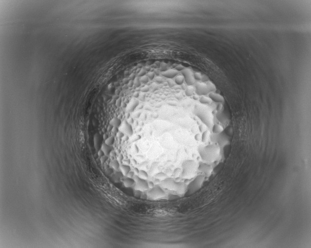 X0000060770737200512011611