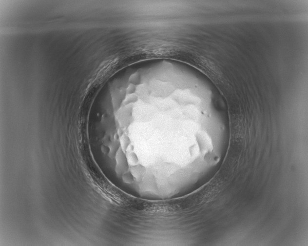 X0000060770738200512011611