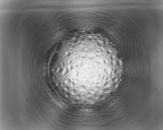 X0000060770741200512011611