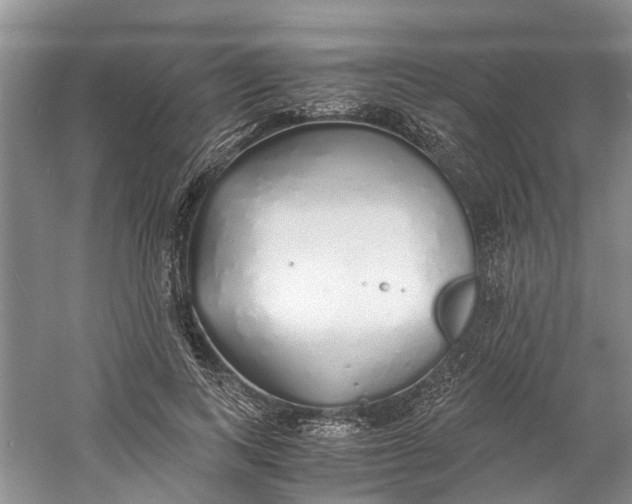 X0000060770743200512011611