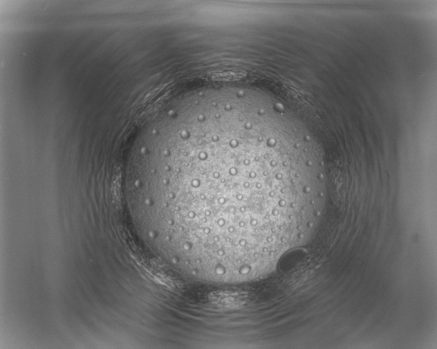 X0000060770745200512011611