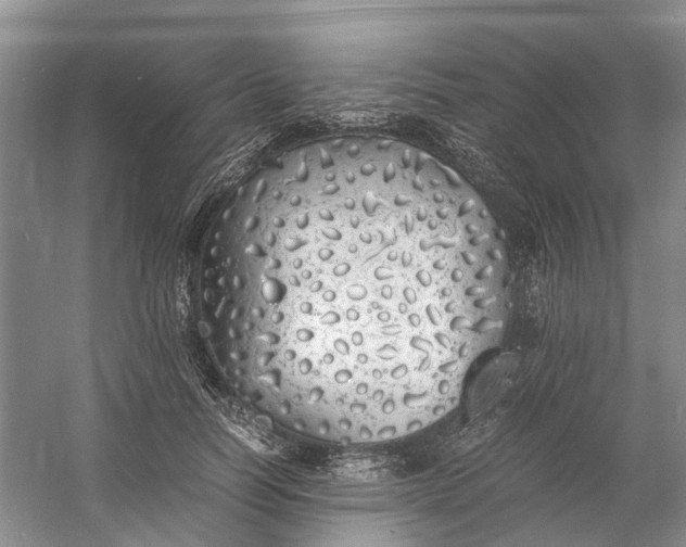 X0000060770746200512011611