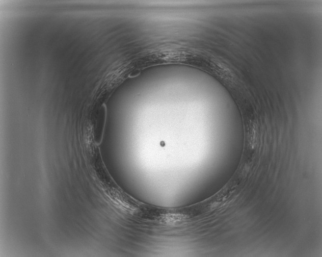 X0000060770748200512011611