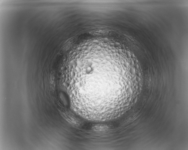 X0000060770749200512011611