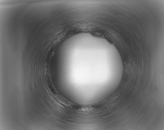 X0000060770752200512011611