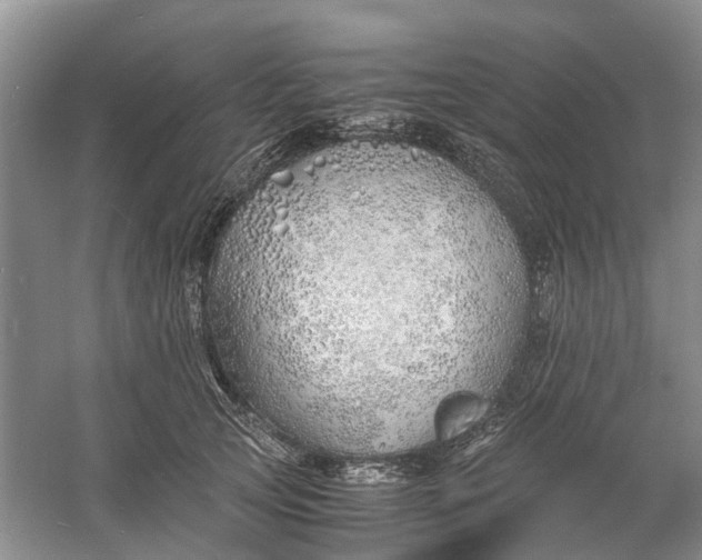 X0000060770753200512011611