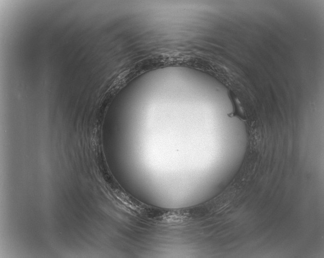 X0000060770756200512011611