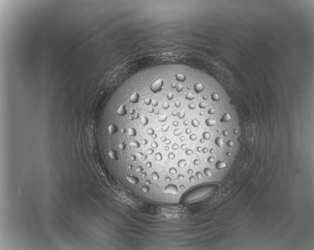 X0000060770757200512011611