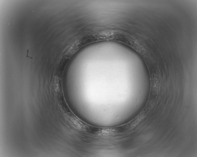 X0000060770758200512011611