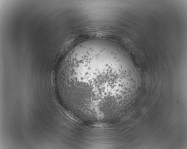 X0000060770760200512011611