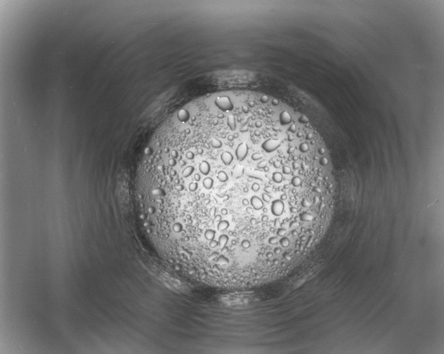 X0000060770761200512011611