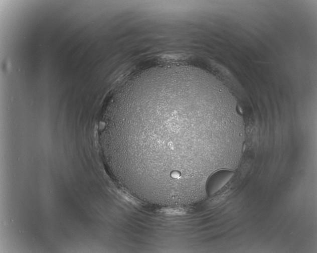 X0000060770765200512011612