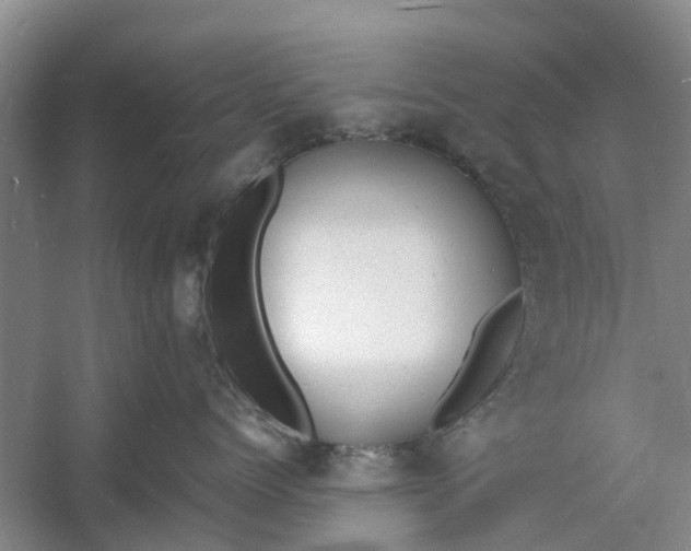 X0000060770768200512011612