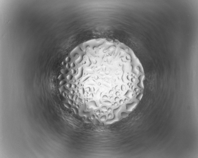 X0000060770770200512011611