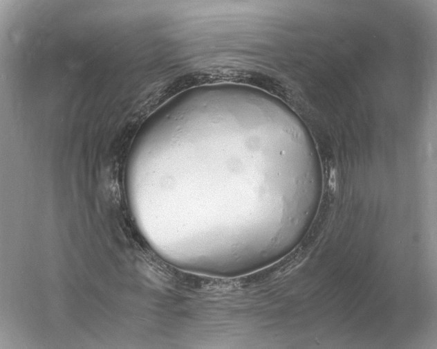 X0000060770771200512011611