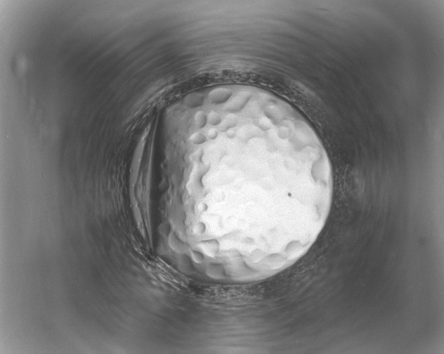 X0000060770774200512011611