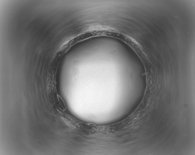 X0000060770775200512011611