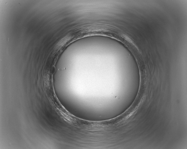 X0000060770777200512011611