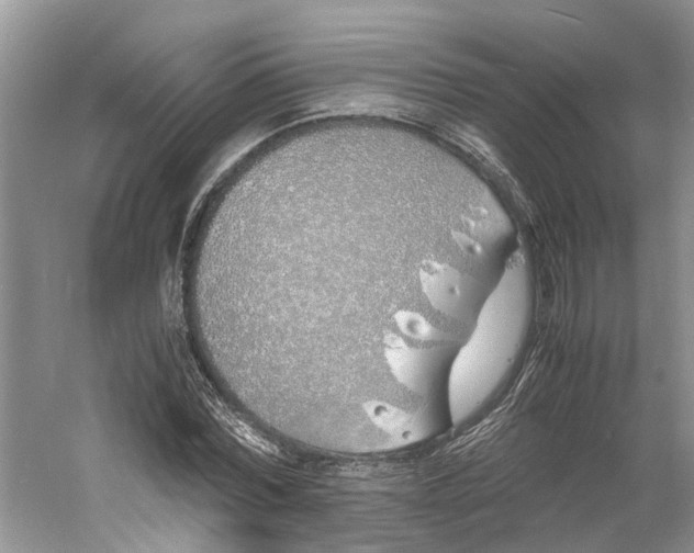 X0000060770780200512011611