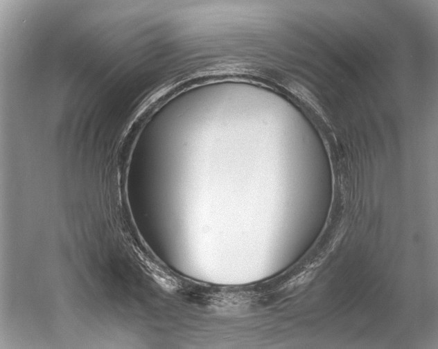 X0000060770781200512011611