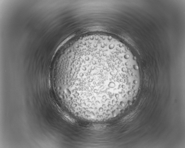 X0000060770782200512011610