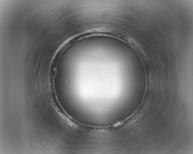 X0000060770784200512011610