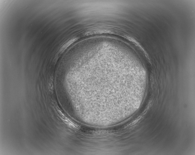 X0000060770785200512011610