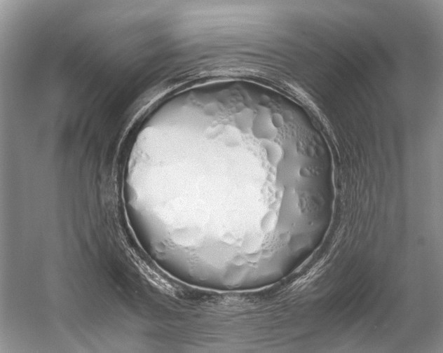 X0000060770787200512011610