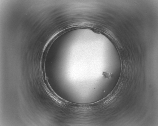 X0000060770788200512011610