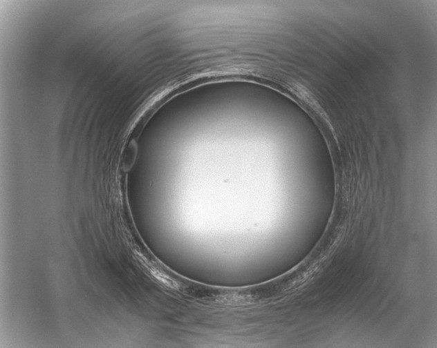 X0000060770789200512011610