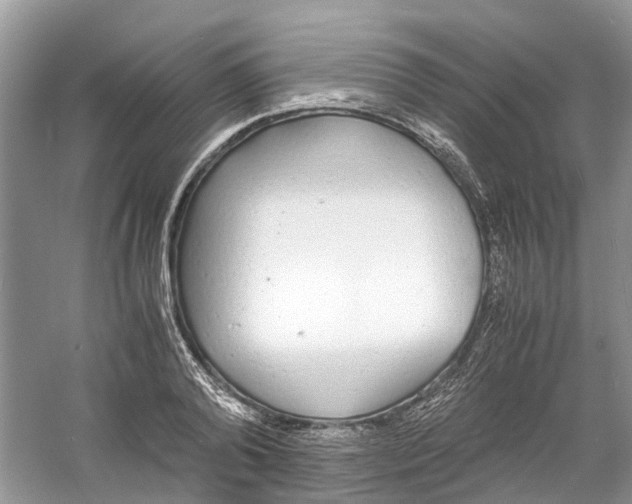 X0000060770792200512011610