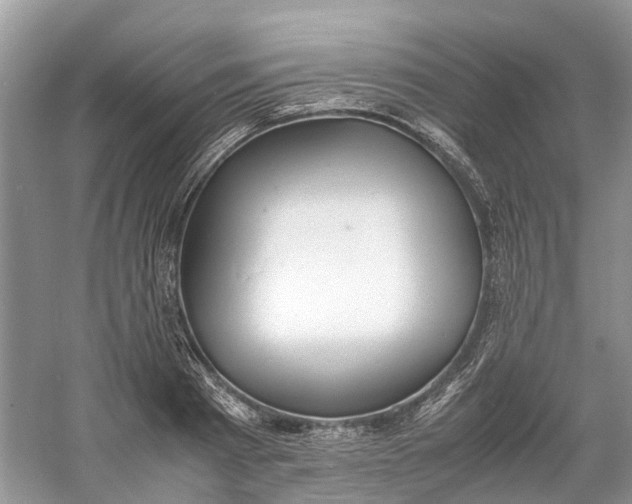 X0000060770793200512011610