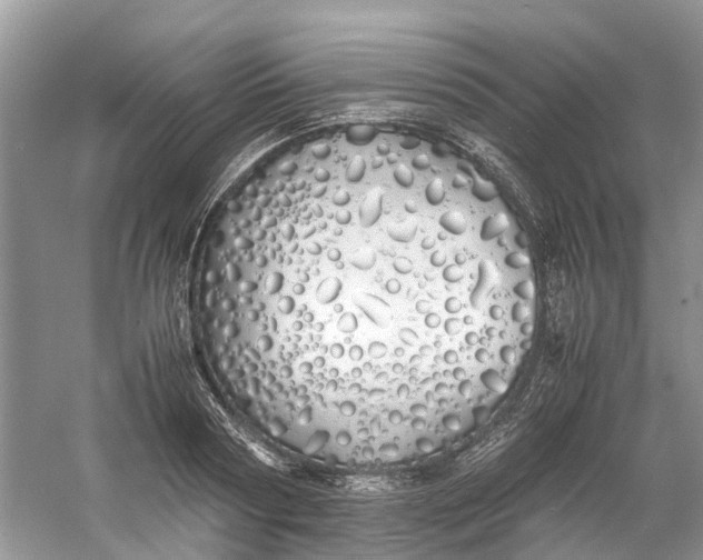 X0000060770794200512011610