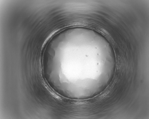 X0000060770796200512011610