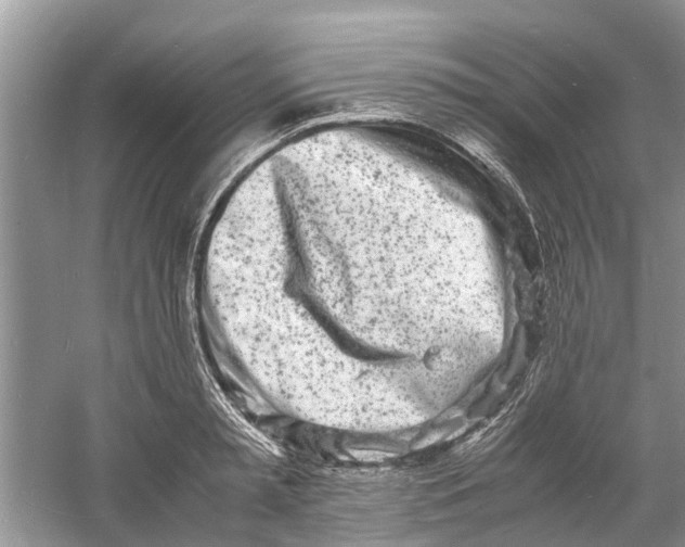 X0000060770797200512011610