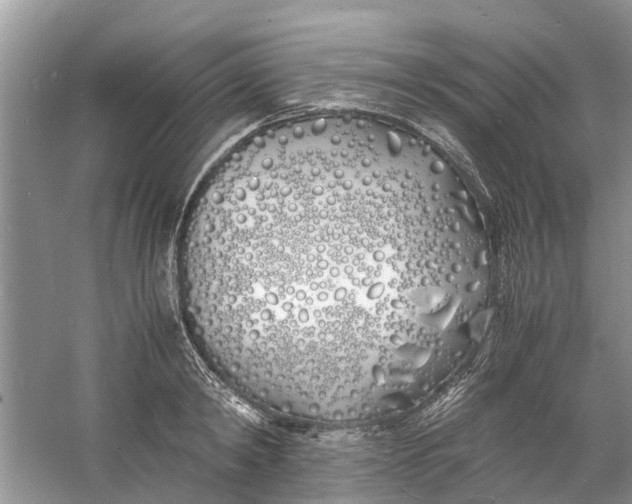 X0000060770798200512011610