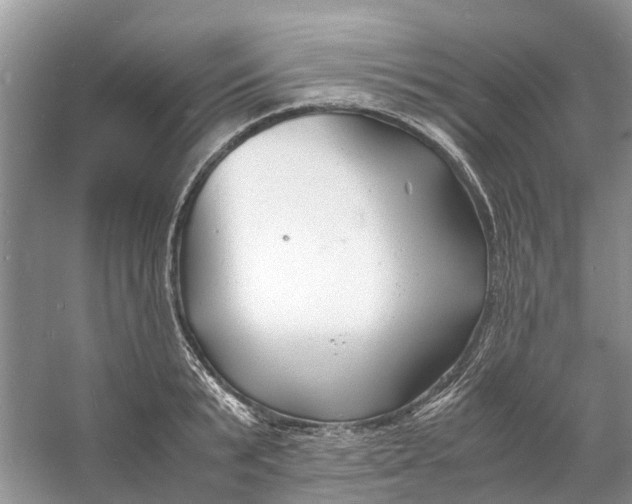 X0000060770799200512011610