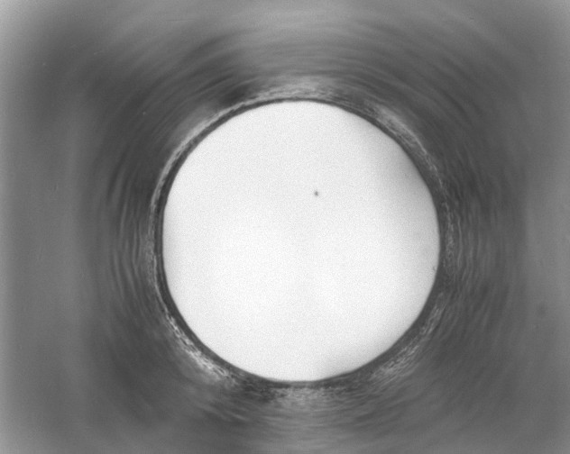 X0000060770800200512011610