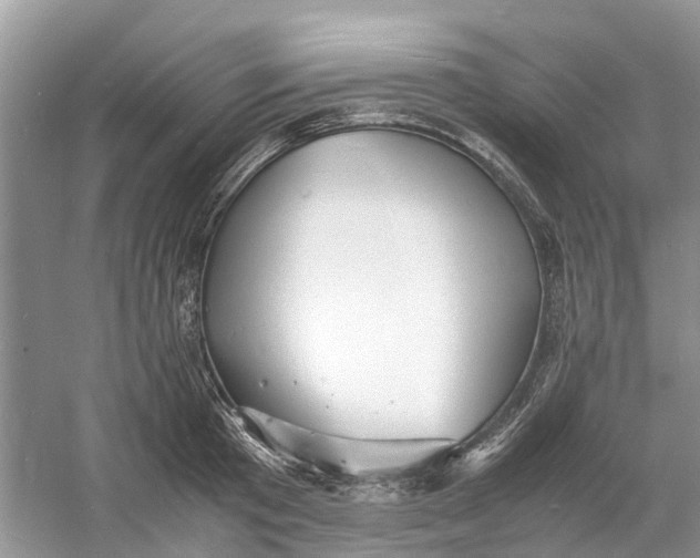 X0000060770801200512011610