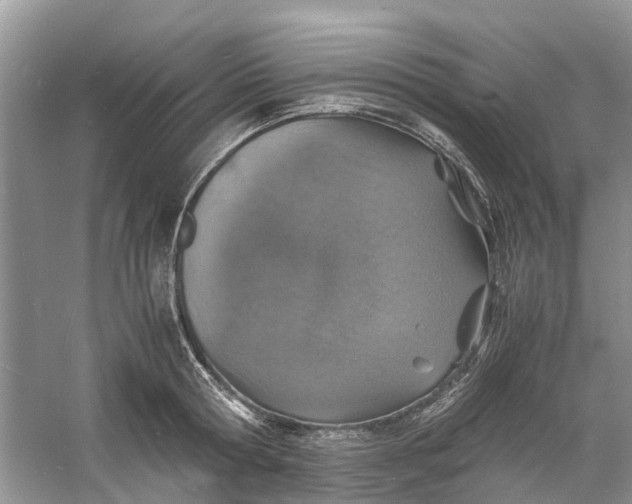 X0000060770802200512011610