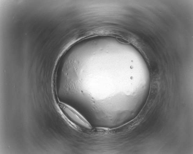 X0000060770803200512011610