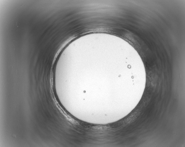 X0000060770804200512011610