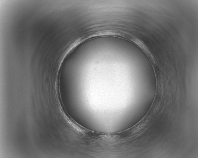 X0000060770805200512011610