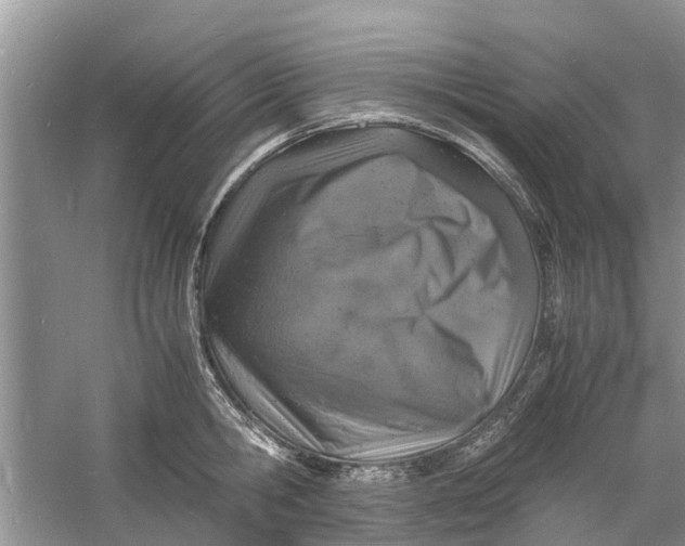 X0000060770806200512011610